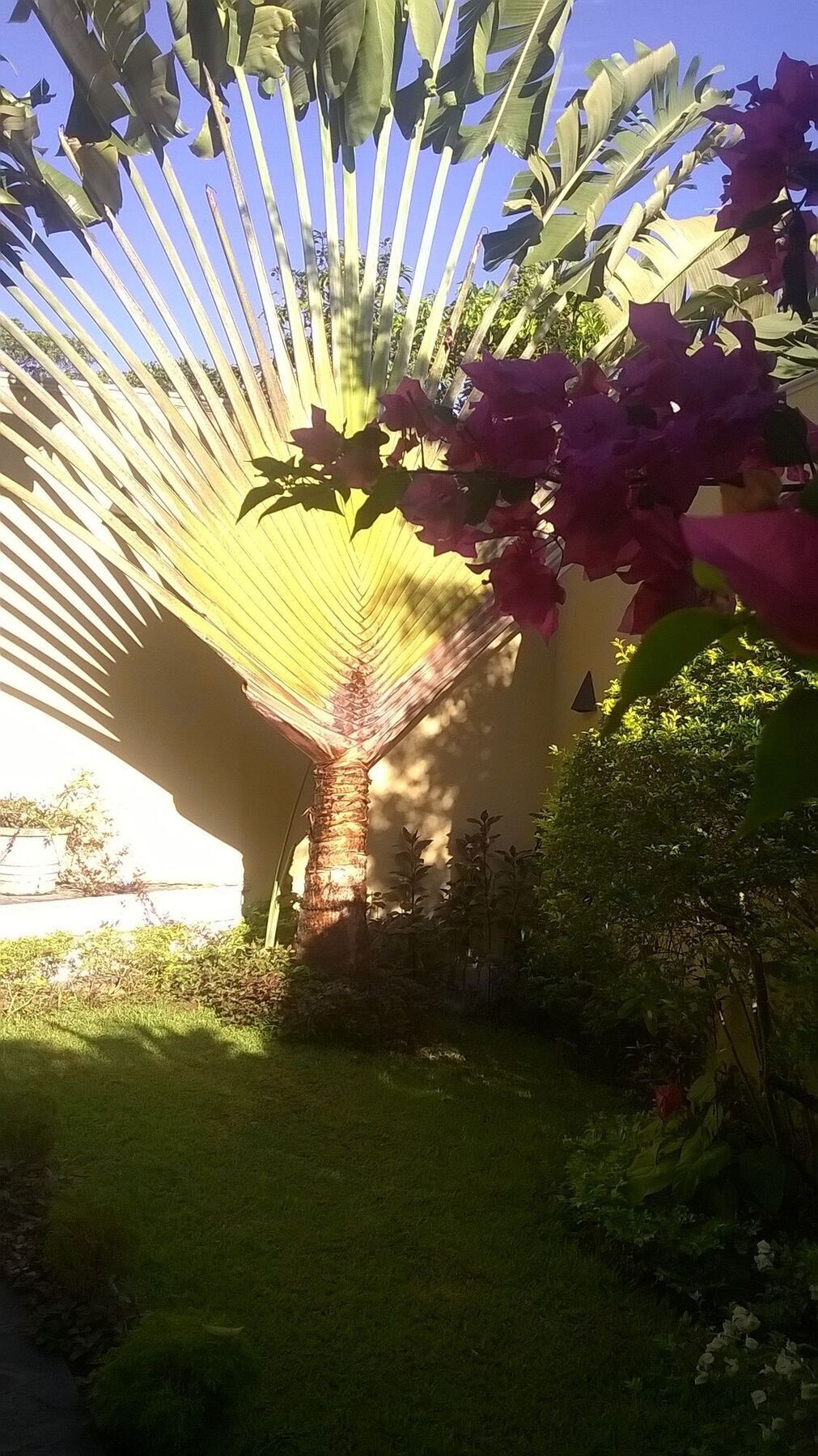 Villa Tara Hikkaduwa Exterior photo